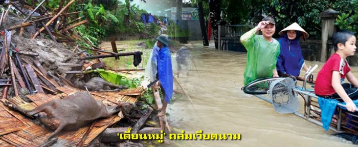 flood 2564 06