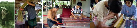 kok yom tor