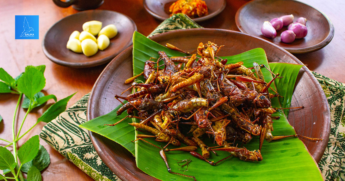 insect food thailand