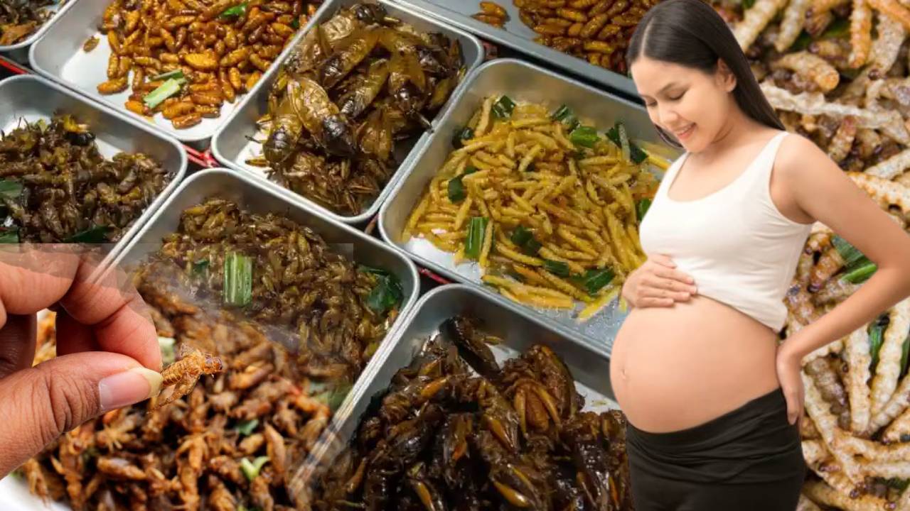 insect food pregnant