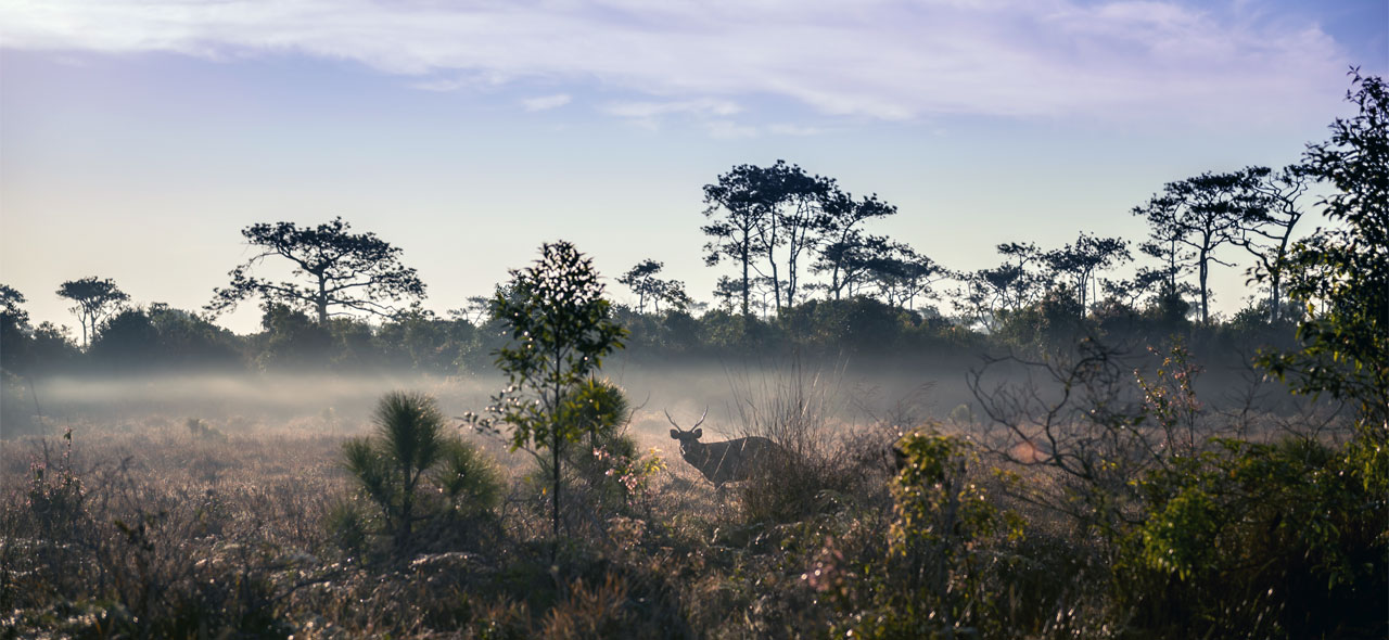 phu kra dueng 10