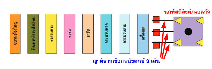 nok hasadee link 11