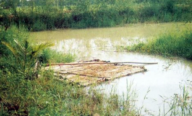 Maha Yoo 02