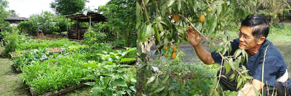 kamduang 04
