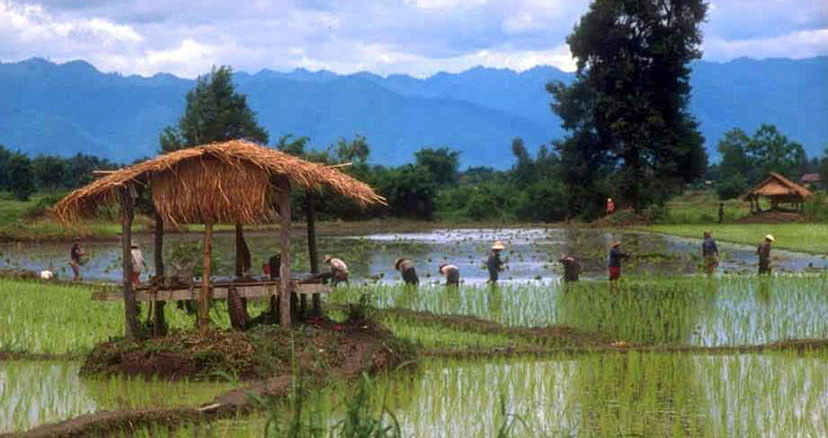 tiang na 02