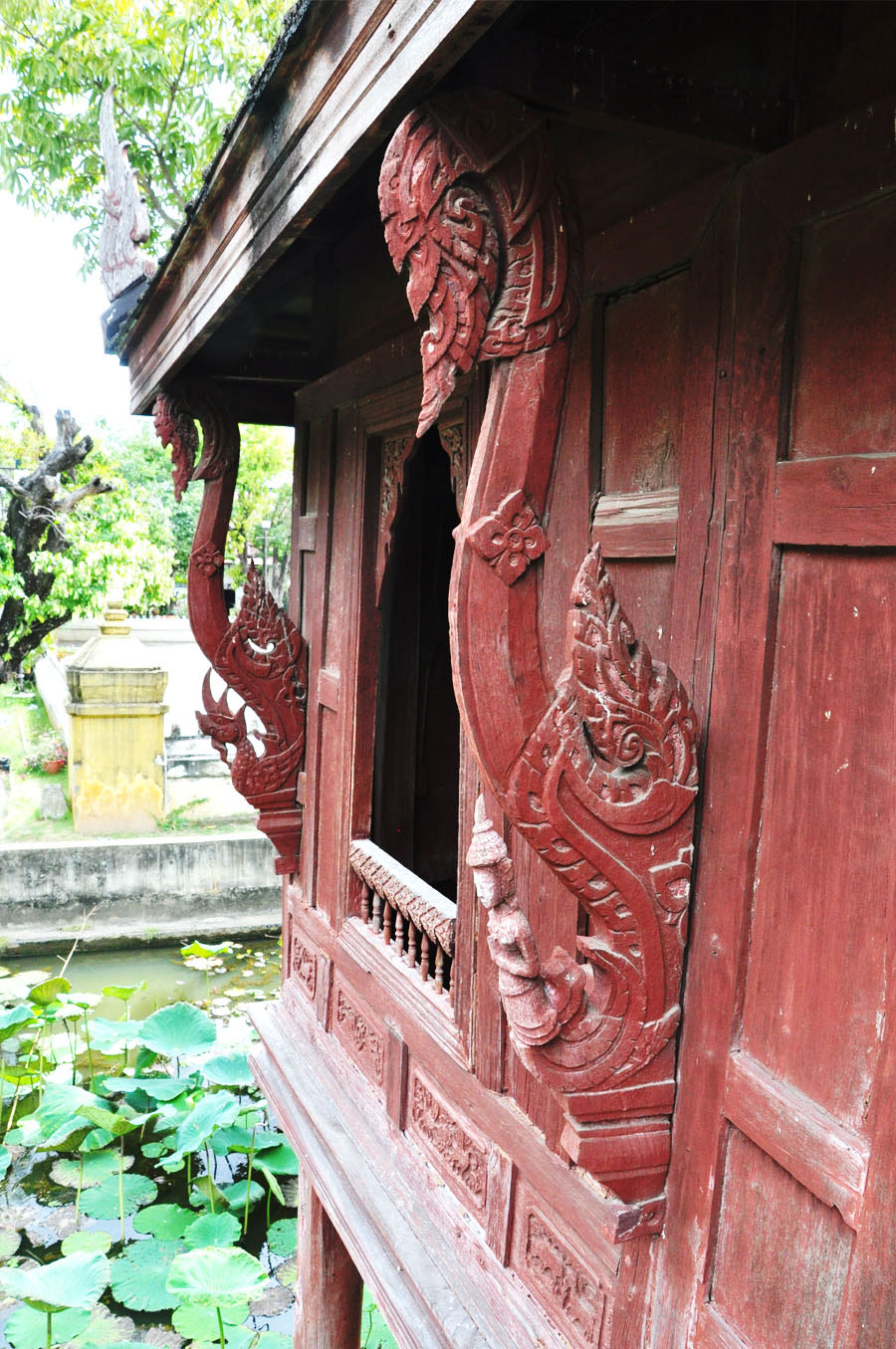 hor trai 05