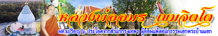 LP Amorn header