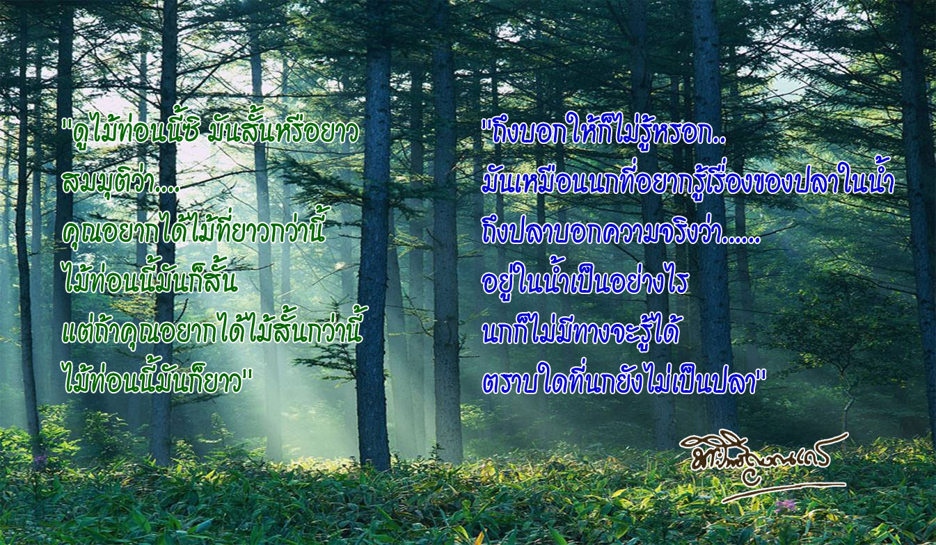 cha kamson 3