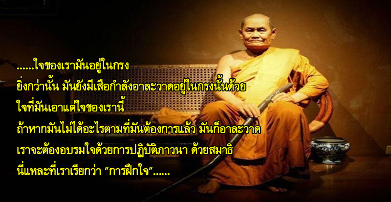 cha kamson 4