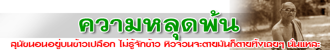 kwam lood pont