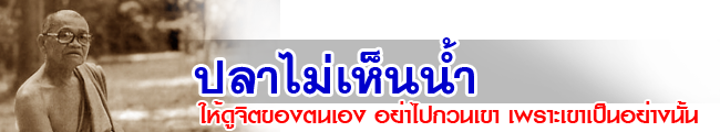 pla mai hen nam