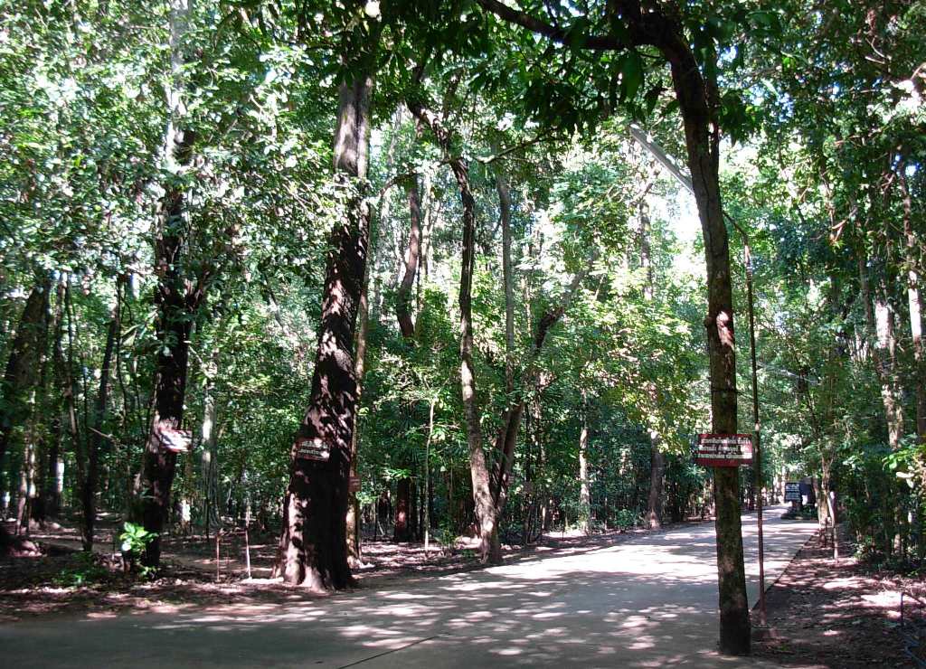 wat nong papong 01