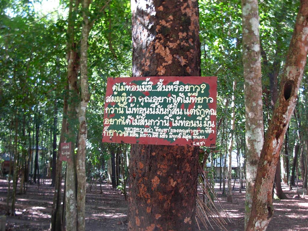 wat nong papong 03