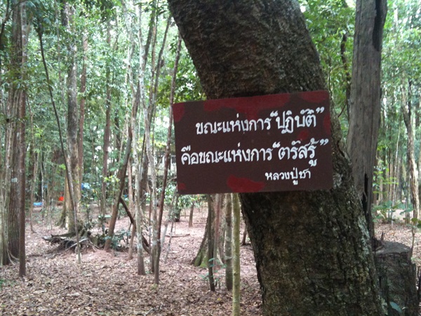 wat nong papong 04