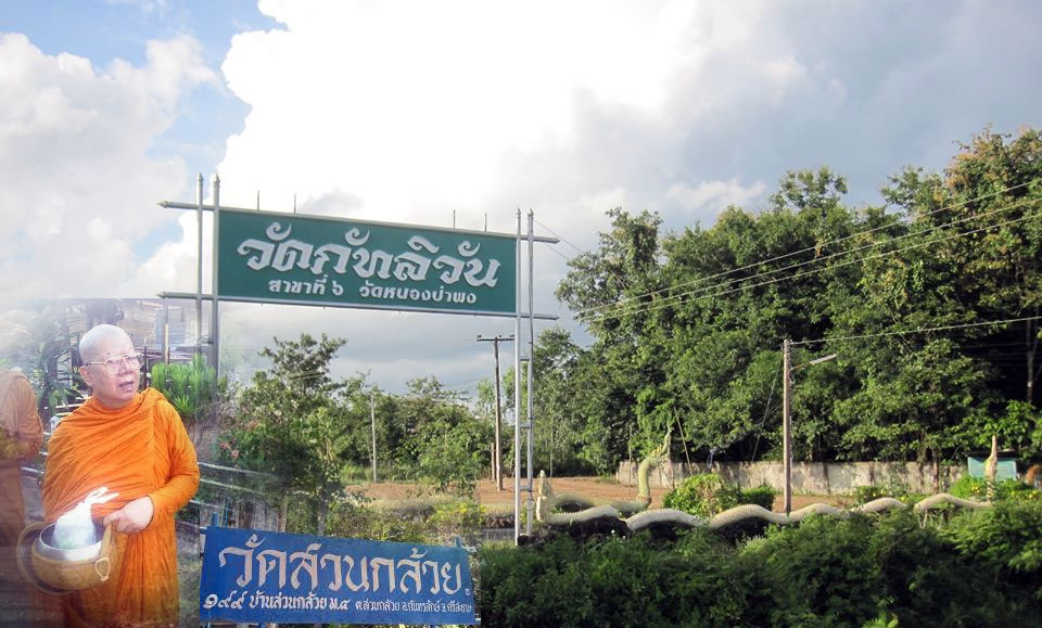 wat suankluay