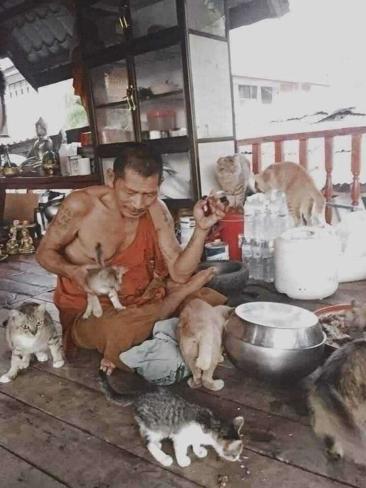 LP Sila sirijanto 06
