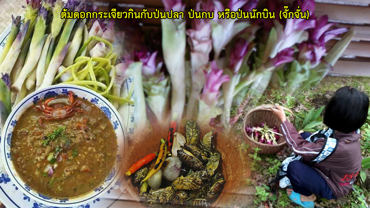 dok krajiew ponkob