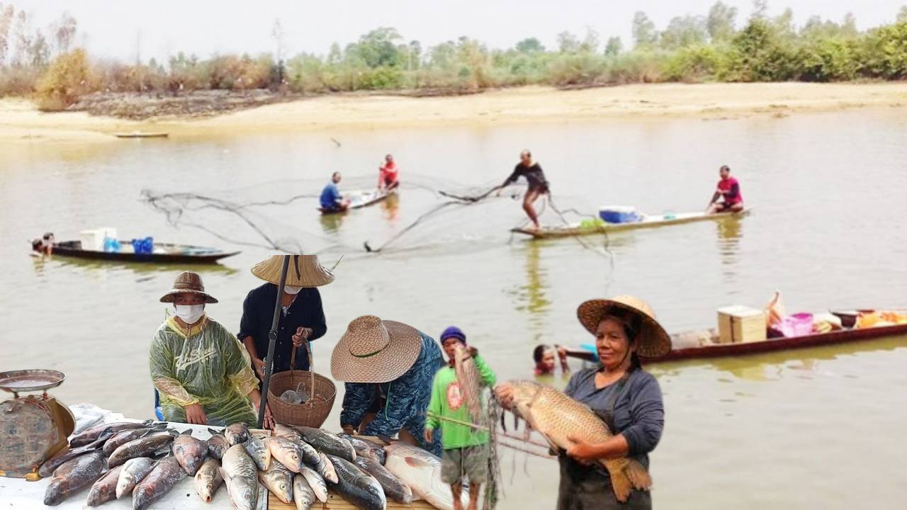 fish food isan