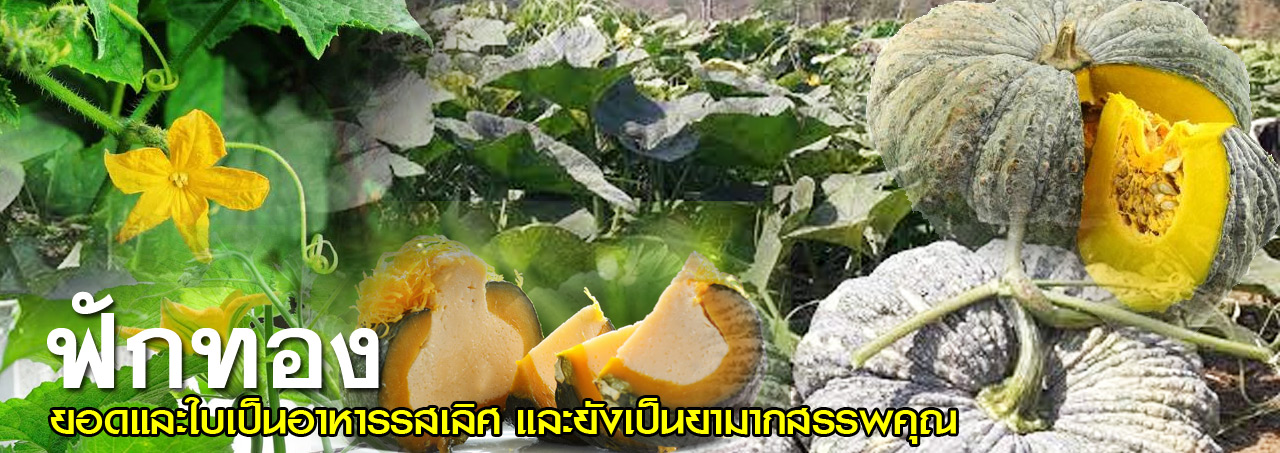fug thong