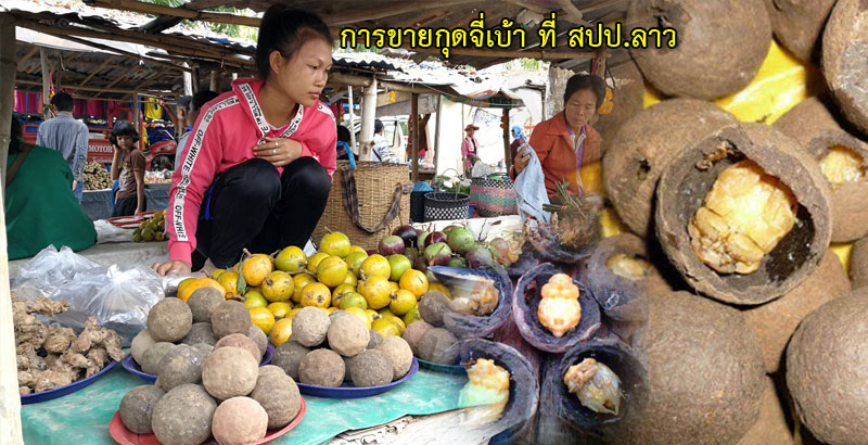 goodji 02