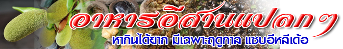 isan food delicious