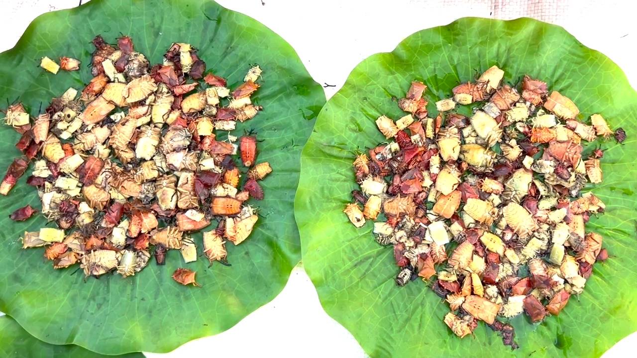 jaew mangkang 2