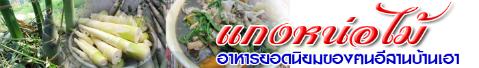 kaeng nor mai header