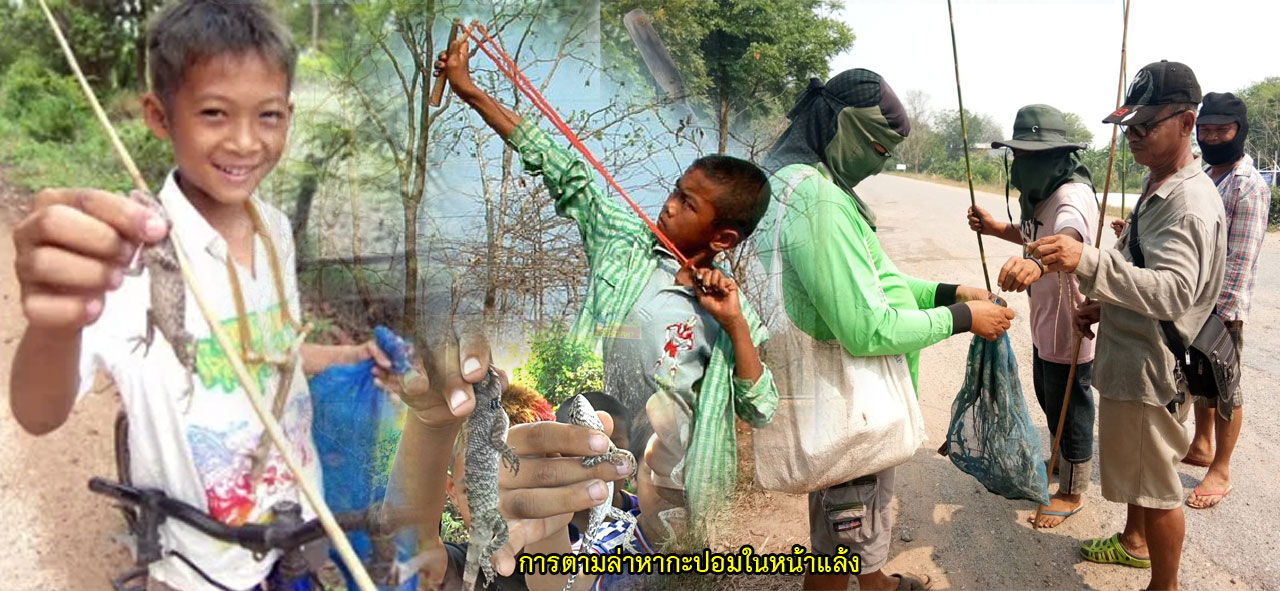 kapom 04