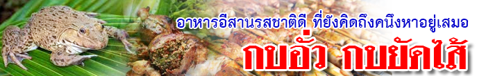 kob aua header