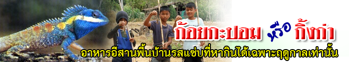 koy kapom header