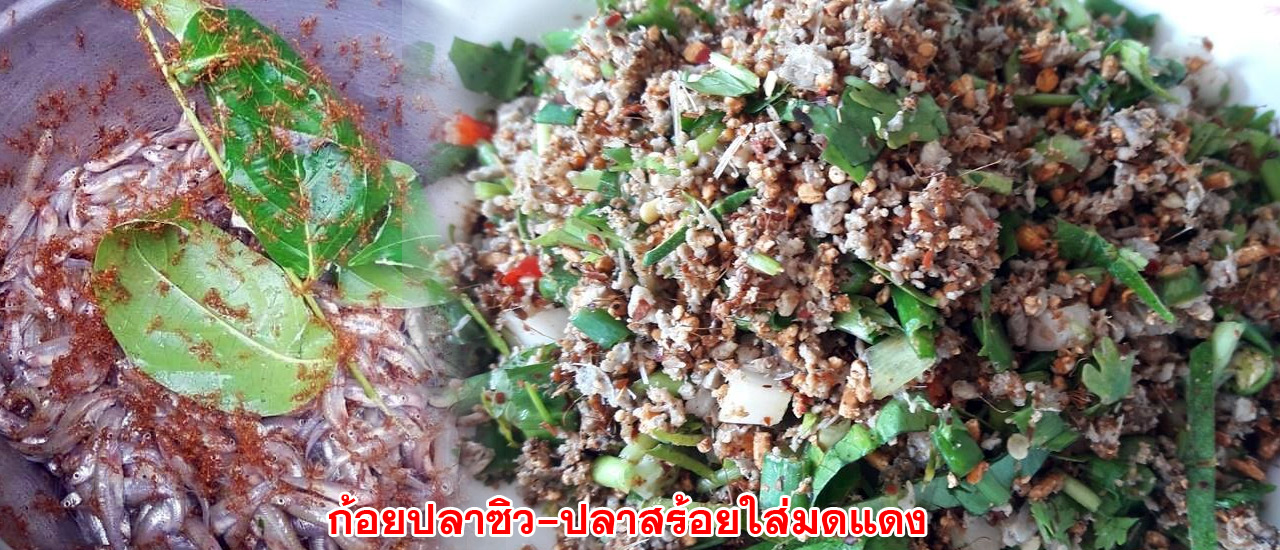 koy pla kai mod daeng