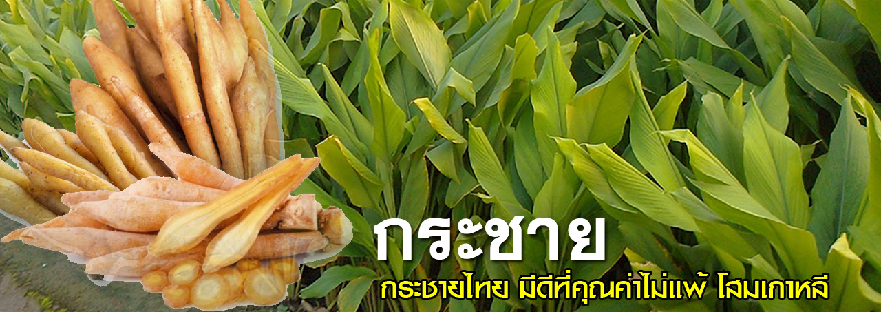 kra chai