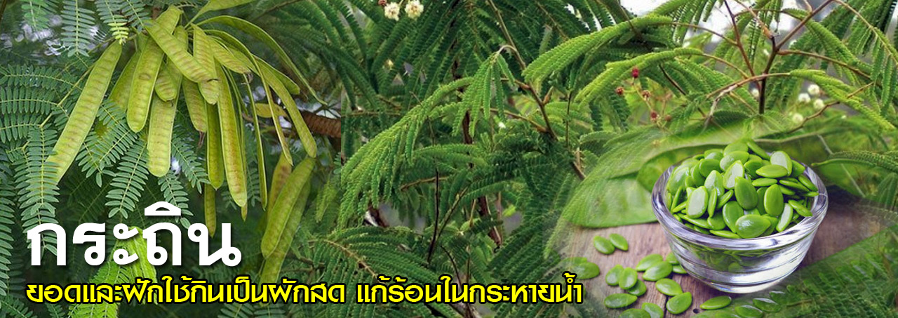 kra tin