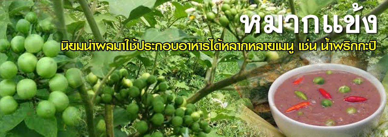 mak kaeng