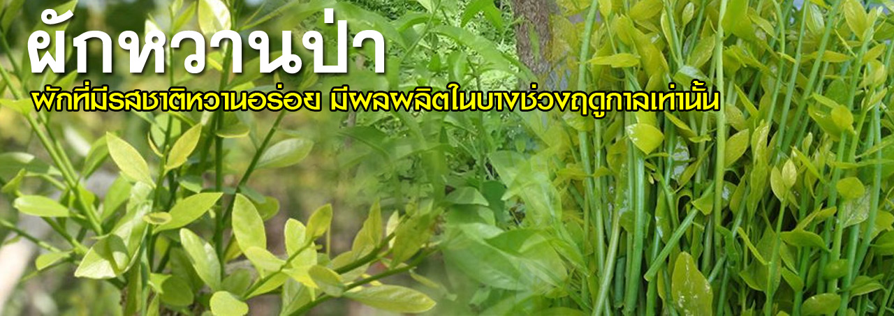 pak waan pa