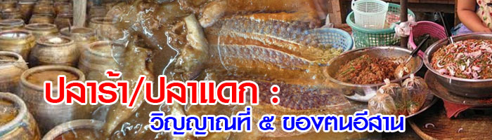 pla dag header 2