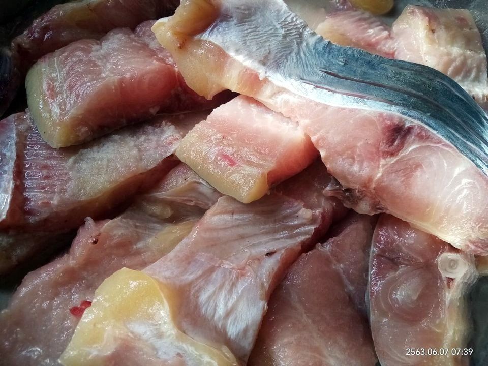 pla tepo 04