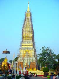 tat panom 01