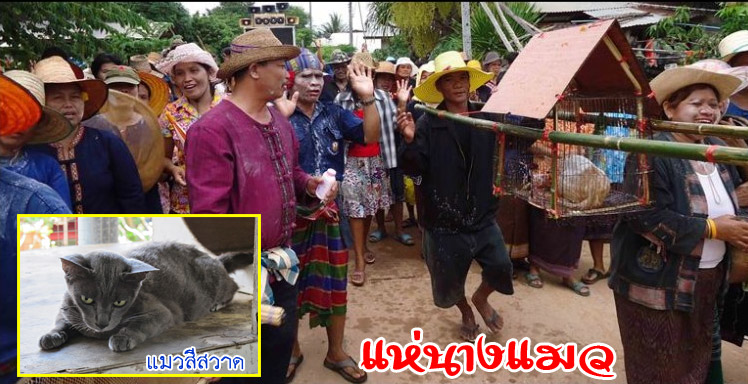 hae nang maew2