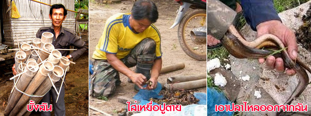 e joo pla lai 4