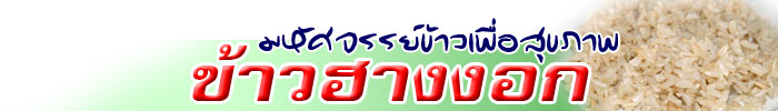kao hang header