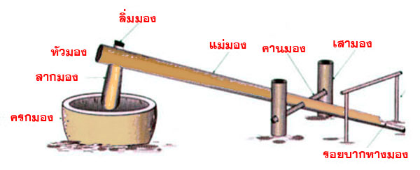 krog mong 03