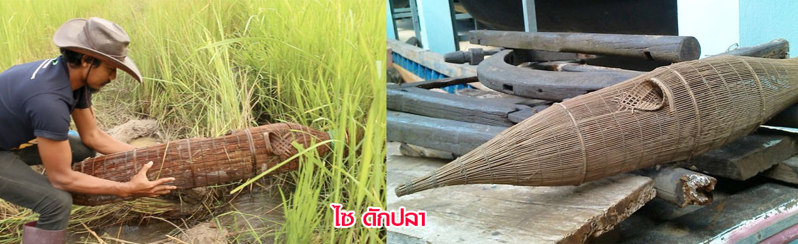 lob sai dak pla 2
