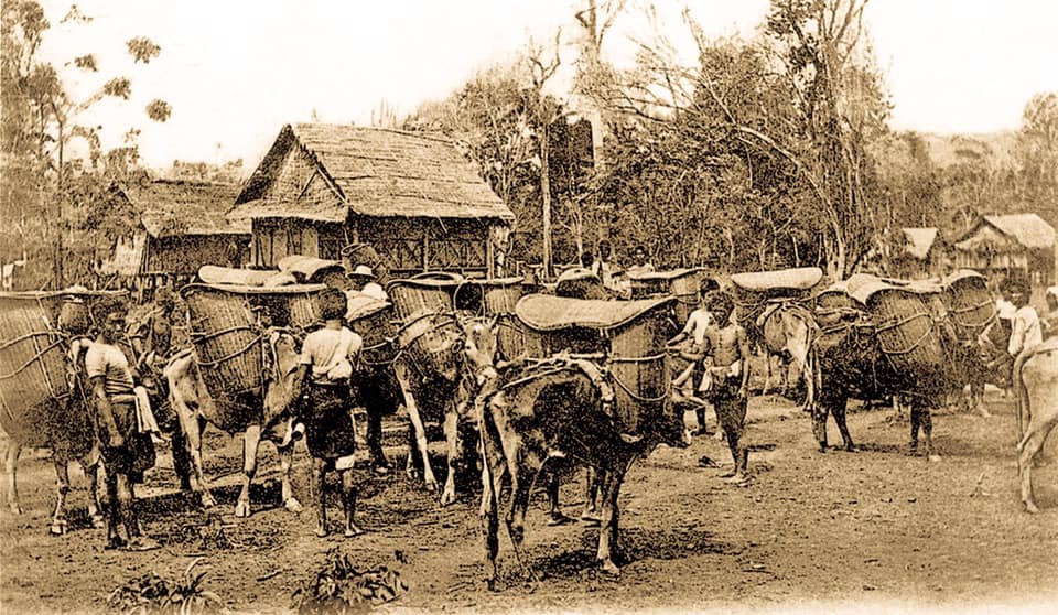 paothai kula 08