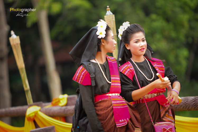 paothai yer 4