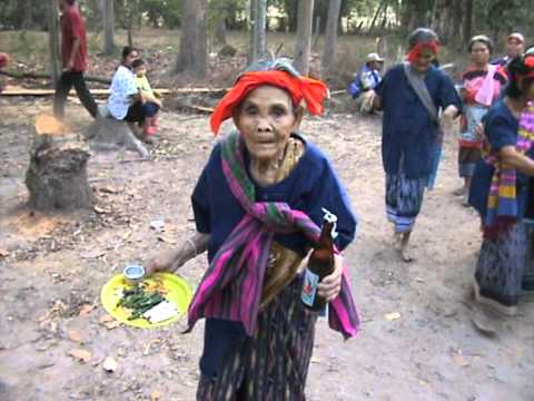 thaiyor 05