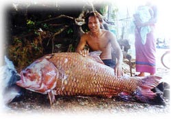 playai nammoon