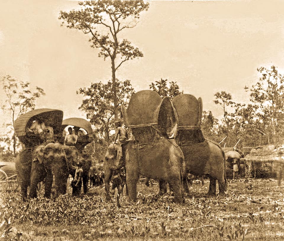 Ubon BE2430 11