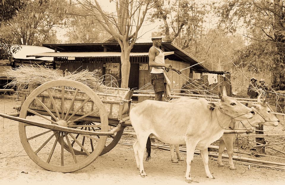 mahasarakam oldies BE2507 13