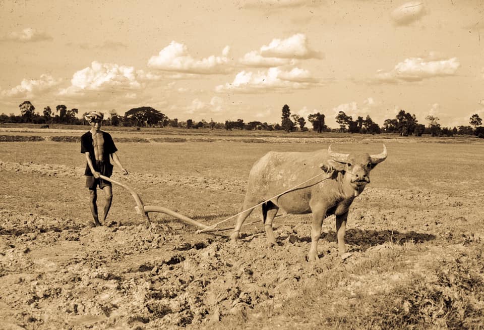 mahasarakam oldies BE2507 59